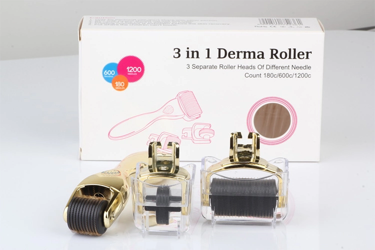 OEM/ODM προσαρμοσμένη μάρκα 3 In 1 Drs Derma Roller για αντιγήρανση από ανοξείδωτο χάλυβα Τιτάνιο 2